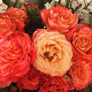 roses